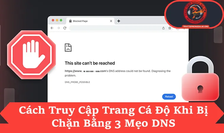 5 Cách Truy Cập Trang Cá Độ Khi Bị Chặn Hiệu Quả Nhất