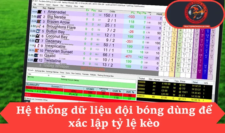 Hệ thống dữ liệu đội bóng dùng để xác lập tỷ lệ kèo