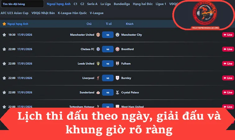 Lịch thi đấu theo ngày, giải đấu và khung giờ rõ ràng