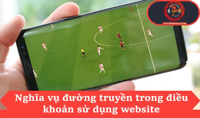 Nghĩa vụ đường truyền trong điều khoản sử dụng website