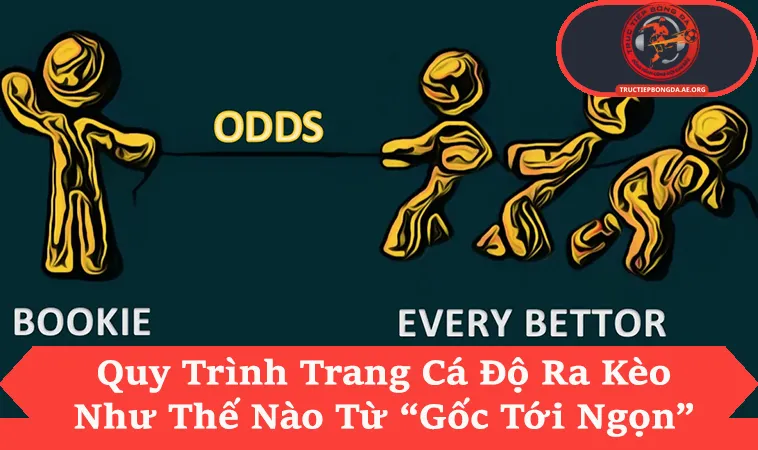 Trang Cá Độ Ra Kèo Như Thế Nào Qua 3 Bước Xử Lý Dữ Liệu